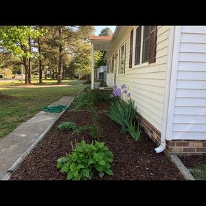 Meet your Posher, Evelyn